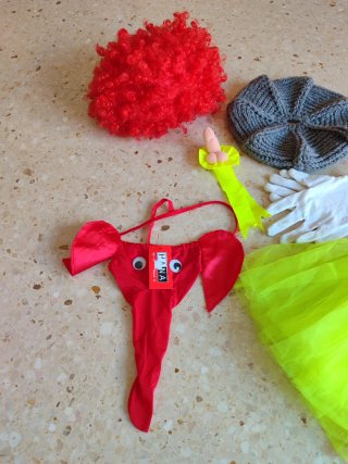 Conjunto diferentes piezas para disfraz - fiesta