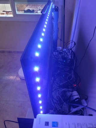 Televisor Philips 50 4K Ambilight