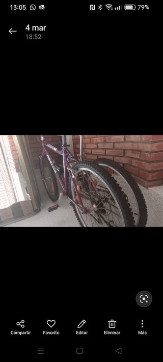 Bicicleta de Montaña Paso.