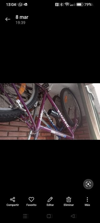 Bicicleta de Montaña Paso.