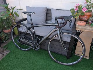 Bicicleta Trek Domane 4.3 Ultegra