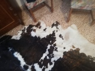 Piel de Vaca Pirenaica Negra y Blanca