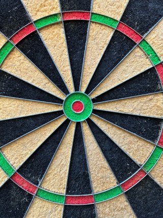 Diana profesional Winmau Blade 6