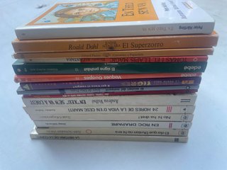 Lote libros