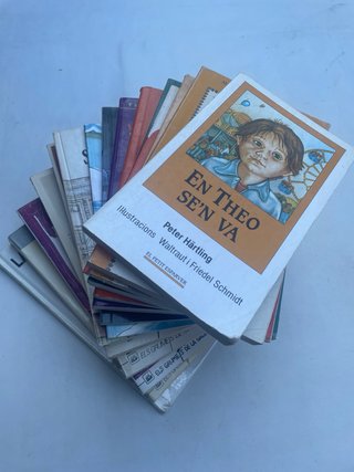 Lote libros