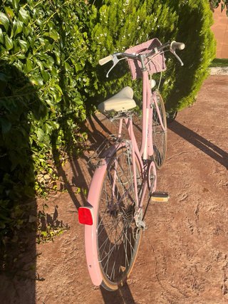 Bicicleta Vintage Decoración Jardín
