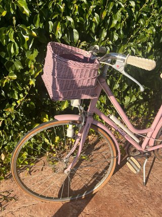 Bicicleta Vintage Decoración Jardín