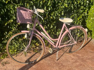Bicicleta Vintage Decoración Jardín