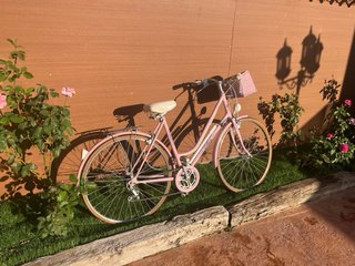 Bicicleta Vintage Decoración Jardín