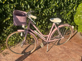 Bicicleta Vintage Decoración Jardín