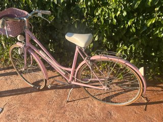 Bicicleta Vintage Decoración Jardín