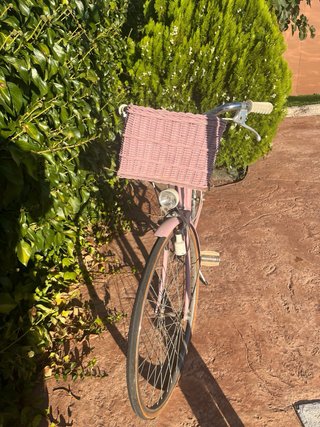 Bicicleta Vintage Decoración Jardín