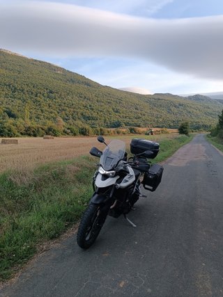 Triumph Tiger 900 GT PRO 04/21