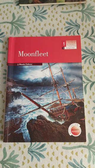 Moonfleet.