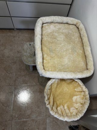 Rascador para gatos