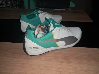Zapatillas Puma Mercedes Petronas