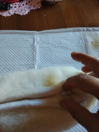 Cuscino culla lana merinos Fima Stars