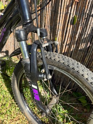 Bicicleta Trek Precaliber Niño 20