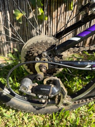 Bicicleta Trek Precaliber Niño 20