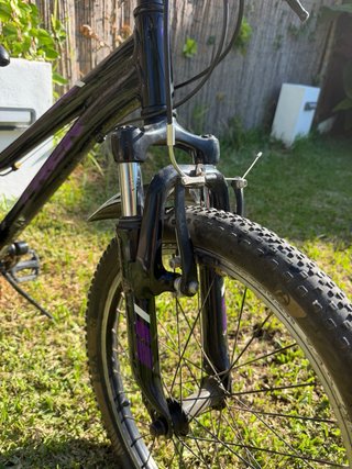 Bicicleta Trek Precaliber Niño 20