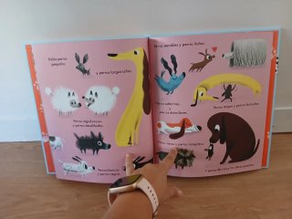 Libro infantil  Coque Escoge