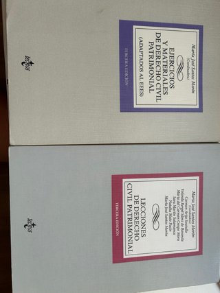 Lecciones de Derecho Civil Patrimonial