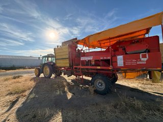 Cosechadora Patatas/Cebolla GRIMME SE 75-30