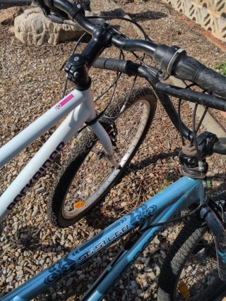 2 Bicicletas (BMX y Montaña) 20 euros las dos