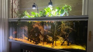 Acuario 720L