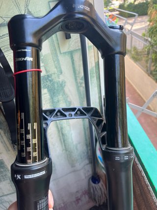 Rockshox Domain 160mm Horquilla MTB