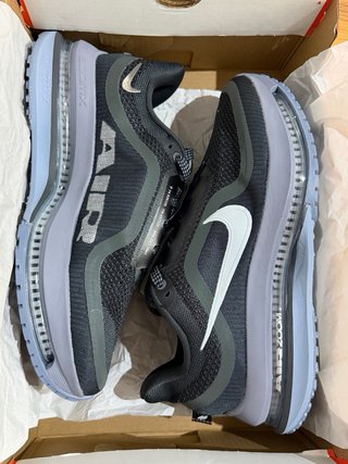 Nike Pegasus premium talla 40