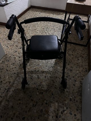 Silla con ruedas pepe mobility