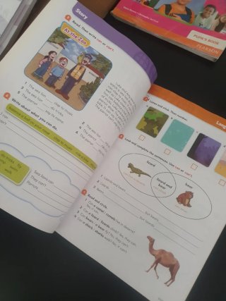 Big English 3 Activity Book