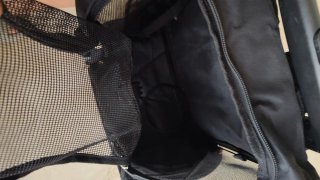 Transportín para Perro con ruedas.