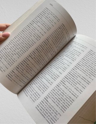 Dizionario italiano Mariotti - 40.000 vocaboli