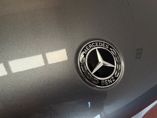 Mercedes-Benz GLE 300 d 4Matic 180 kW (245 CV)