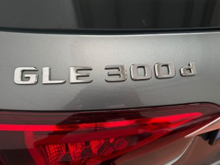 Mercedes-Benz GLE 300 d 4Matic 180 kW (245 CV)
