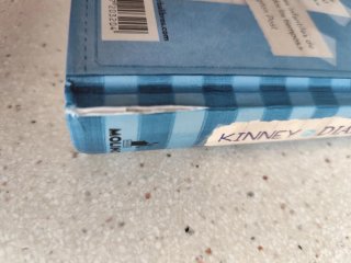 Lote libros Diario de Greg. ¡Atención leer bien!