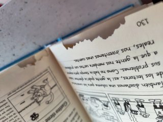 Lote libros Diario de Greg. ¡Atención leer bien!