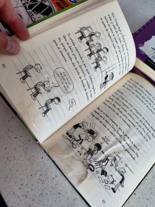 Lote libros Diario de Greg. ¡Atención leer bien!