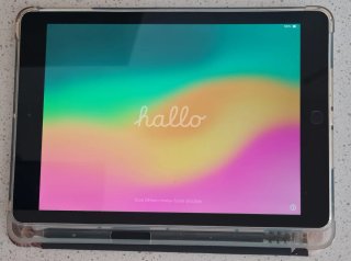 iPad Air 7ª Gen 10.2 Multicolor con funda