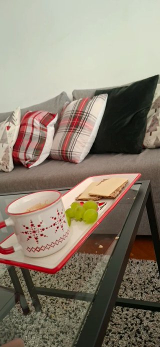 Sofá Cama Gris con dos cojines. Se hace cama.doble