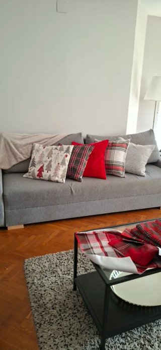 Sofá Cama Gris con dos cojines. Se hace cama.doble