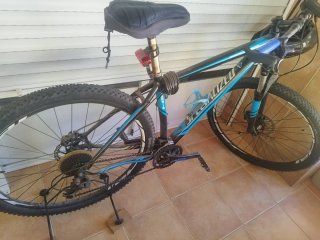 Bicicleta de Montaña