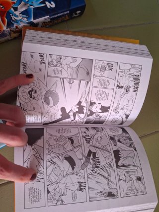 Pokémon: La grande avventura, Vol. 1-6