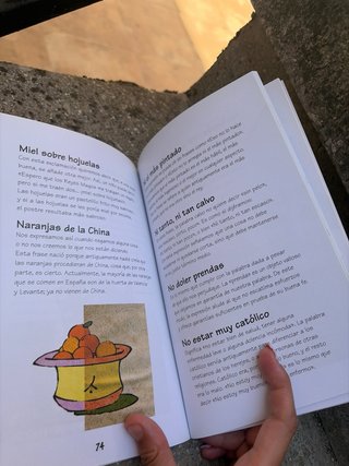 Libro en buen estado de dichos y frases hechas