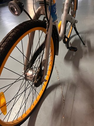 Bicicleta Paseo Holandesa Urbana