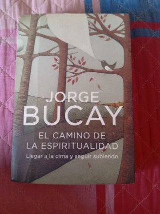 El camino de la espiritualidad Llegar a la cima...