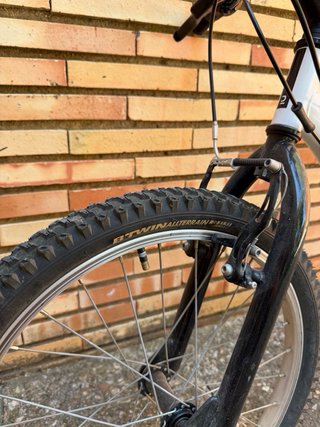 Bici Rockrider EXPL 120 20 Niños