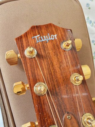 Guitarra Taylor GA6 (614) Acústica